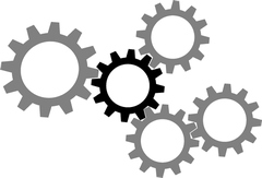 Interim Management